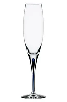 Orrefors Intermezzo Champagne Flute in Clear/Blue at Nordstrom