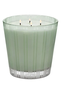 NEST New York Wild Mint & Eucalyptus Scented Classic Candle at Nordstrom