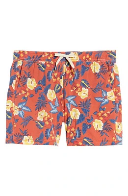 Fair Harbor The Bungalow Swim Trunks at Nordstrom,