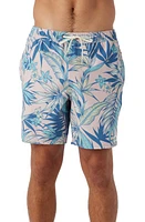 O'Neill Hermosa Swim Trunks at Nordstrom,