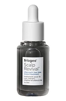 Briogeo Scalp Revival Charcoal + Tea Tree Scalp Treatment Serum at Nordstrom