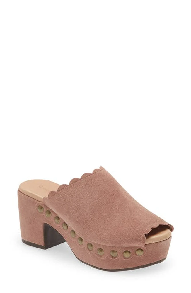 Chocolat Blu Genessis Platform Clog Suede at Nordstrom,