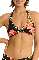 Sea Level Juniper Twist Front Multifit Bikini Top Black at Nordstrom, Us