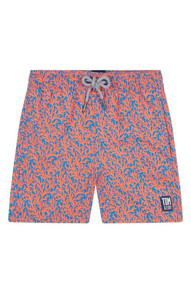 Tom & Teddy Kids' Citrus Swim Trunks Mid Blue Orange at Nordstrom,