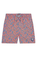 Tom & Teddy Kids' Citrus Swim Trunks Mid Blue Orange at Nordstrom,