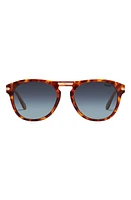 Quay Australia Slicked Back 46mm Polarized Aviator Sunglasses in Honey Tortoise /Navy Polar at Nordstrom