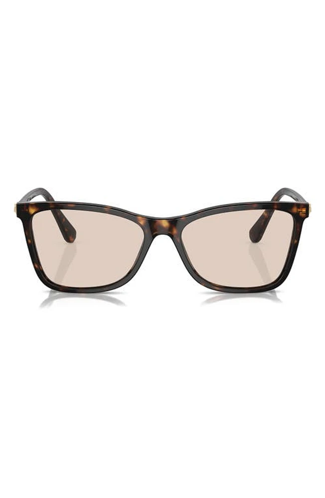 Swarovski 55mm Polarized Rectangle Sunglasses in Dk Havana at Nordstrom