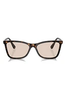 Swarovski 55mm Polarized Rectangle Sunglasses in Dk Havana at Nordstrom