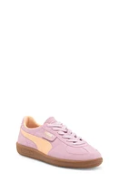 PUMA Kids' Palermo Sneaker Grape Mist-Peach Fizz at Nordstrom