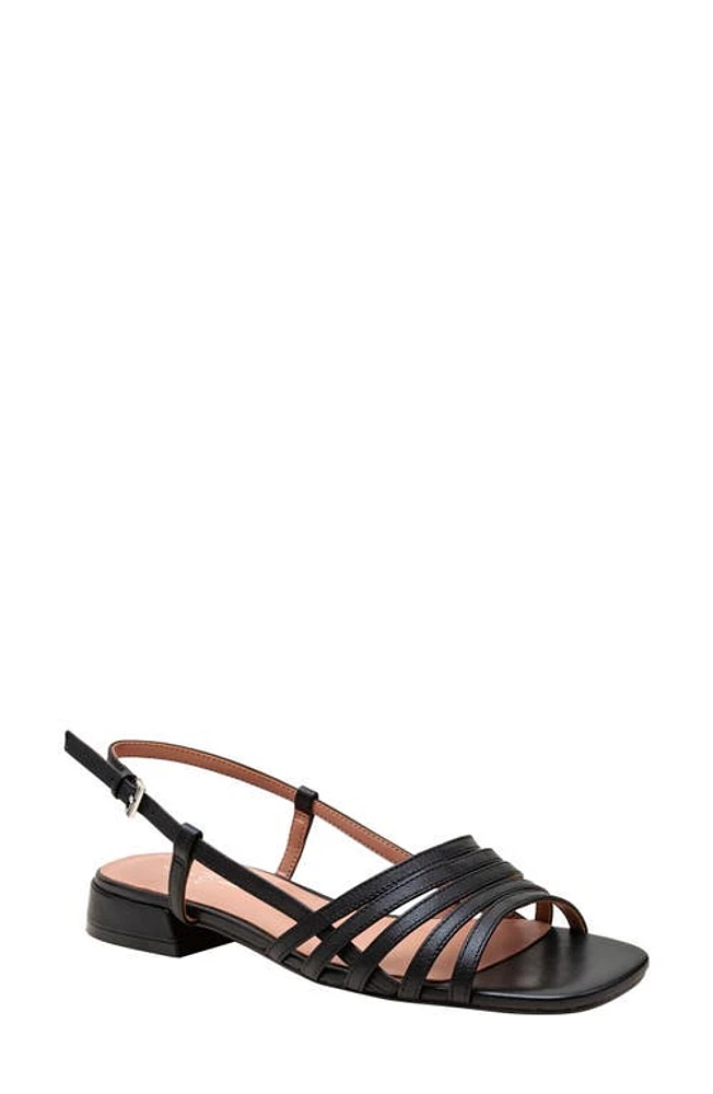 Linea Paolo Lilian Slingback Sandal at Nordstrom,