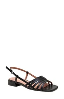 Linea Paolo Lilian Slingback Sandal at Nordstrom,