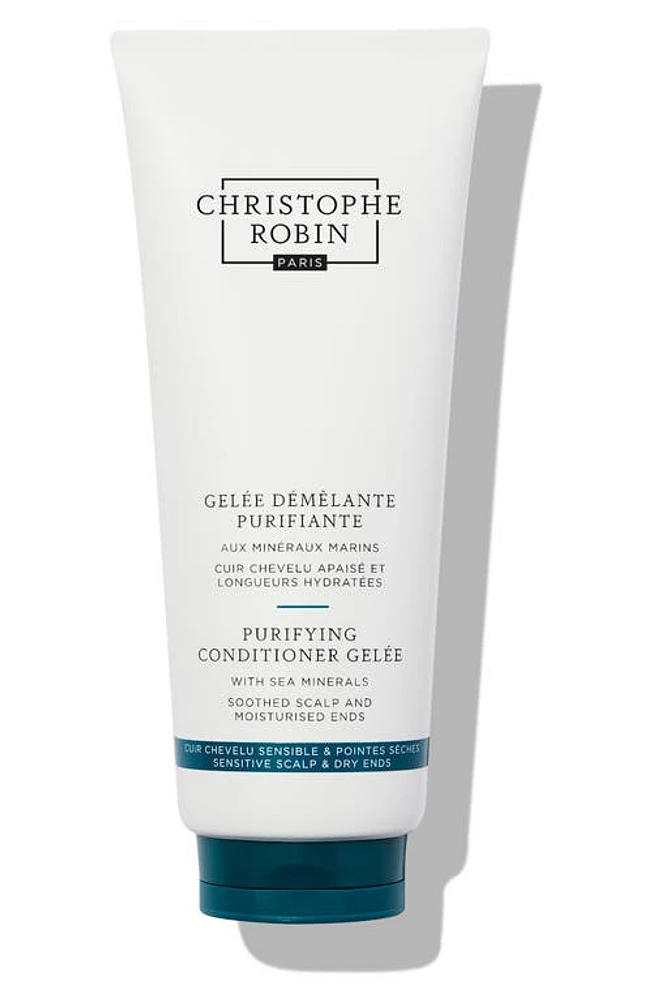 Christophe Robin Detangling Gelée in None at Nordstrom, Size 6.77 Oz