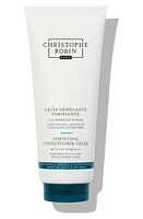 Christophe Robin Detangling Gelée in None at Nordstrom, Size 6.77 Oz