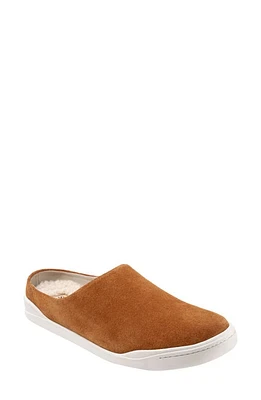 SoftWalk Auburn Mule Tan Suede at Nordstrom,