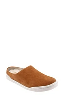 SoftWalk Auburn Mule Tan Suede at Nordstrom,