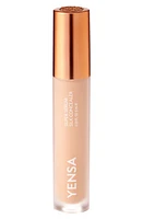 YENSA Super Serum Silk Concealer in Fair at Nordstrom