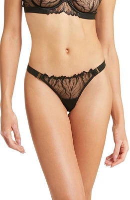 Bluebella Rae Embroidered Mesh Briefs in Black at Nordstrom, Size X-Large