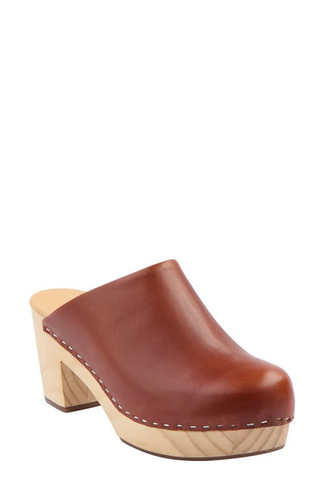 Nisolo Leather Platform Clog in Brandy at Nordstrom, Size 6