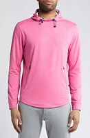 Swannies Ivy Golf Hoodie at Nordstrom,