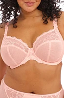 Elomi Charley Full Figure Underwire Convertible Plunge Bra at Nordstrom,