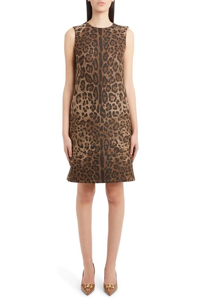 Dolce & Gabbana Dégradé Leopard Print Wool Blend Shift Dress in Print Leo at Nordstrom, Size 2 Us