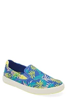 OluKai Lae'ahi Pa'I Slip-On Sneaker at Nordstrom,