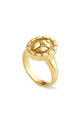 Pamela Zamore Rebirth & Renewal Diamond Scarab Signet Ring in Gold at Nordstrom, Size 6