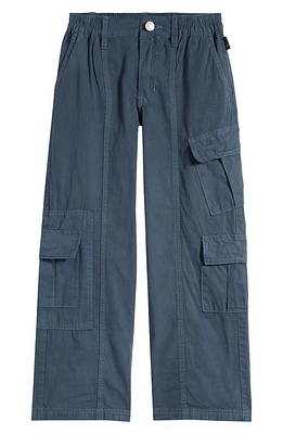 PacSun Kids' Puddle Cargo Pants Illusion Blue at Nordstrom,