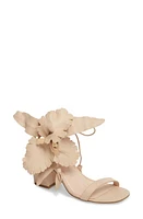 Cecelia New York Hibiscus Sandal at Nordstrom,