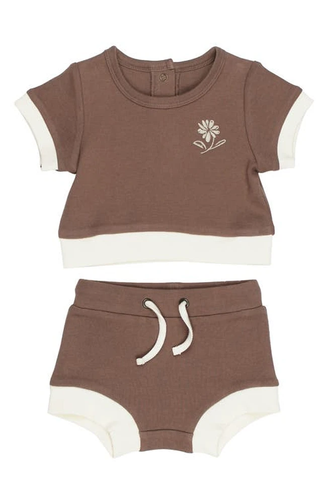 L'Ovedbaby Embroidered Organic Cotton T-Shirt & Shorts Set Latte Flower at Nordstrom,