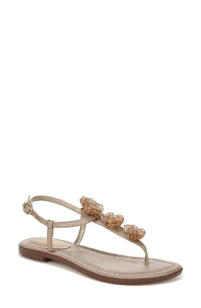 Sam Edelman Gigi Flora Sandal Blush at Nordstrom,