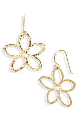 ki-ele Melia Freshwater Pearl Flower Drop Earrings in Gold at Nordstrom