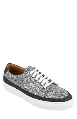 TAFT Fifth Ave Sneaker Stone at Nordstrom,