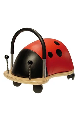 Scrunch Ladybug Wheely Bug in Multi at Nordstrom