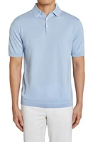 Jack Victor Roslyn Tipped Polo at Nordstrom,