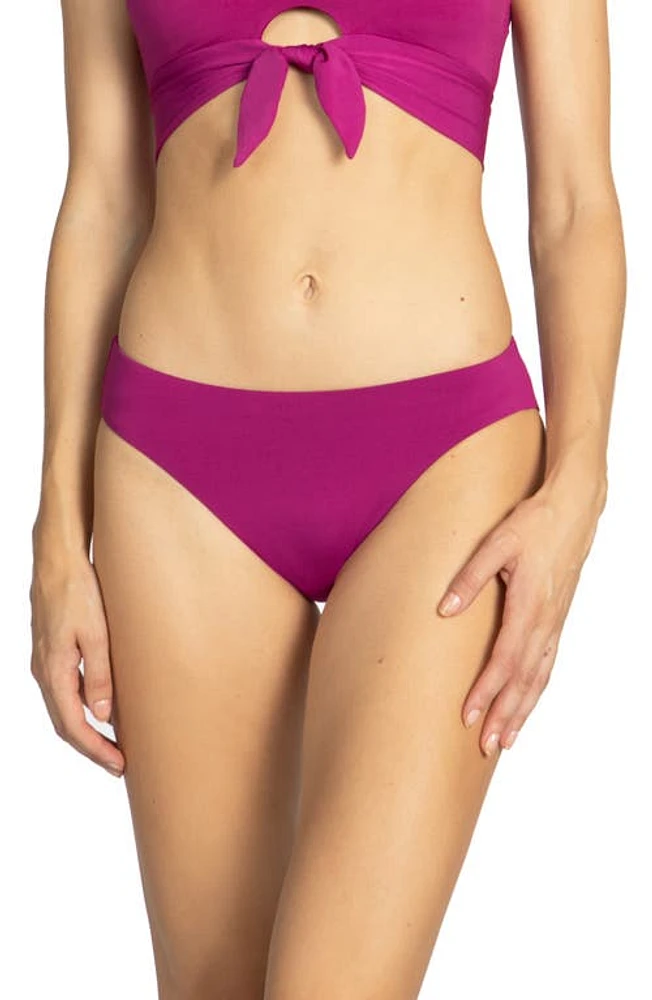 Robin Piccone Ava Bikini Bottoms Acai at Nordstrom,