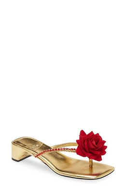 Jeffrey Campbell Primrose Flip Flop at Nordstrom,