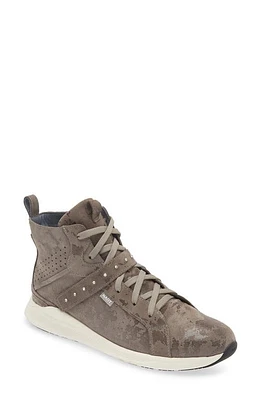 Naot Oxygen Crystal Strap High Top Sneaker at Nordstrom,