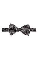 Eton Paisley Bow Tie in Silver at Nordstrom