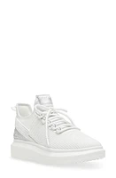 Steve Madden Glorify Platform Knit Sneaker at Nordstrom,