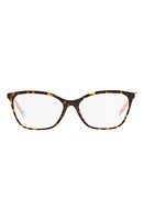 Tiffany & Co. 53mm Butterfly Optical Glasses in Lite Havana at Nordstrom