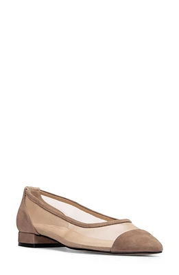 Jon Josef Ray Pointed Toe Flat Haze Suede Combo at Nordstrom,