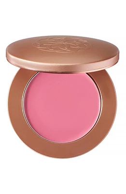 YENSA Super Serum Silk Cream Blush in Radiant Rose at Nordstrom