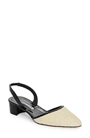 Manolo Blahnik Raffro Slingback Pump Light Khaki/Black at Nordstrom,