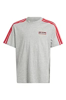 adidas Kids' Adibreak Graphic T-Shirt in Grey Heather/Scarlet at Nordstrom