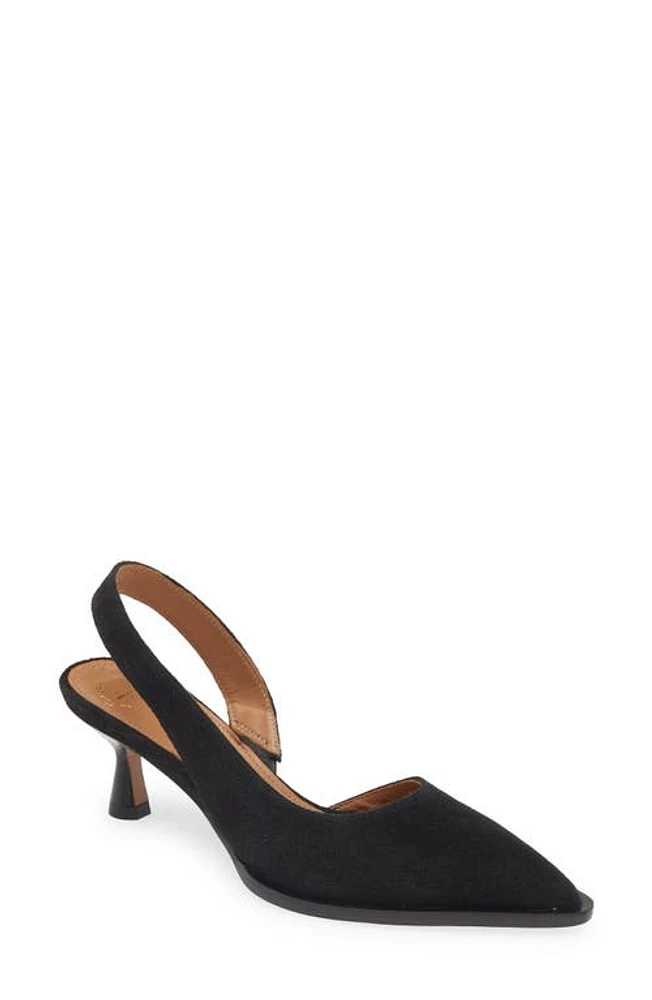 ATP ATELIER Desana Pointed Toe Half d'Orsay Pump Black at Nordstrom,