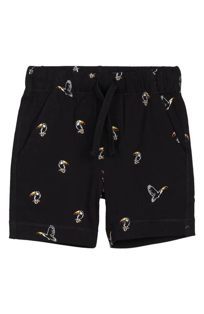 MILES BABY Kids' Toucan Print Organic Cotton Shorts Black at Nordstrom,