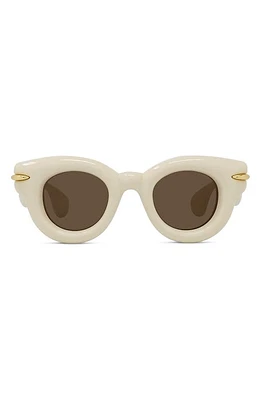 Loewe Inflated Pantos 46mm Round Sunglasses in Ivory /Brown at Nordstrom