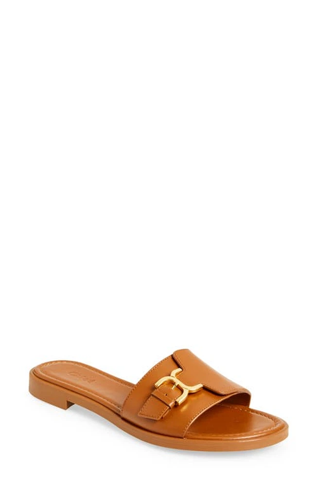 Chloé Marcie Slide Sandal at Nordstrom,