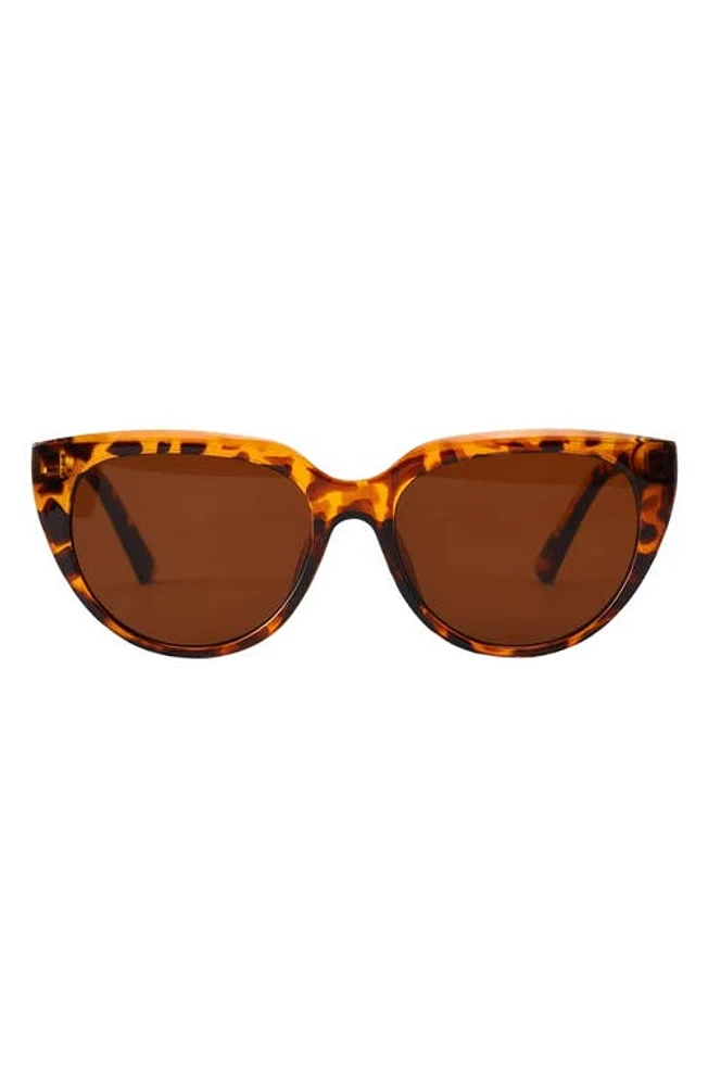 Fifth & Ninth Pepper 56mm Polarized Cat Eye Sunglasses in Torte/Brown at Nordstrom